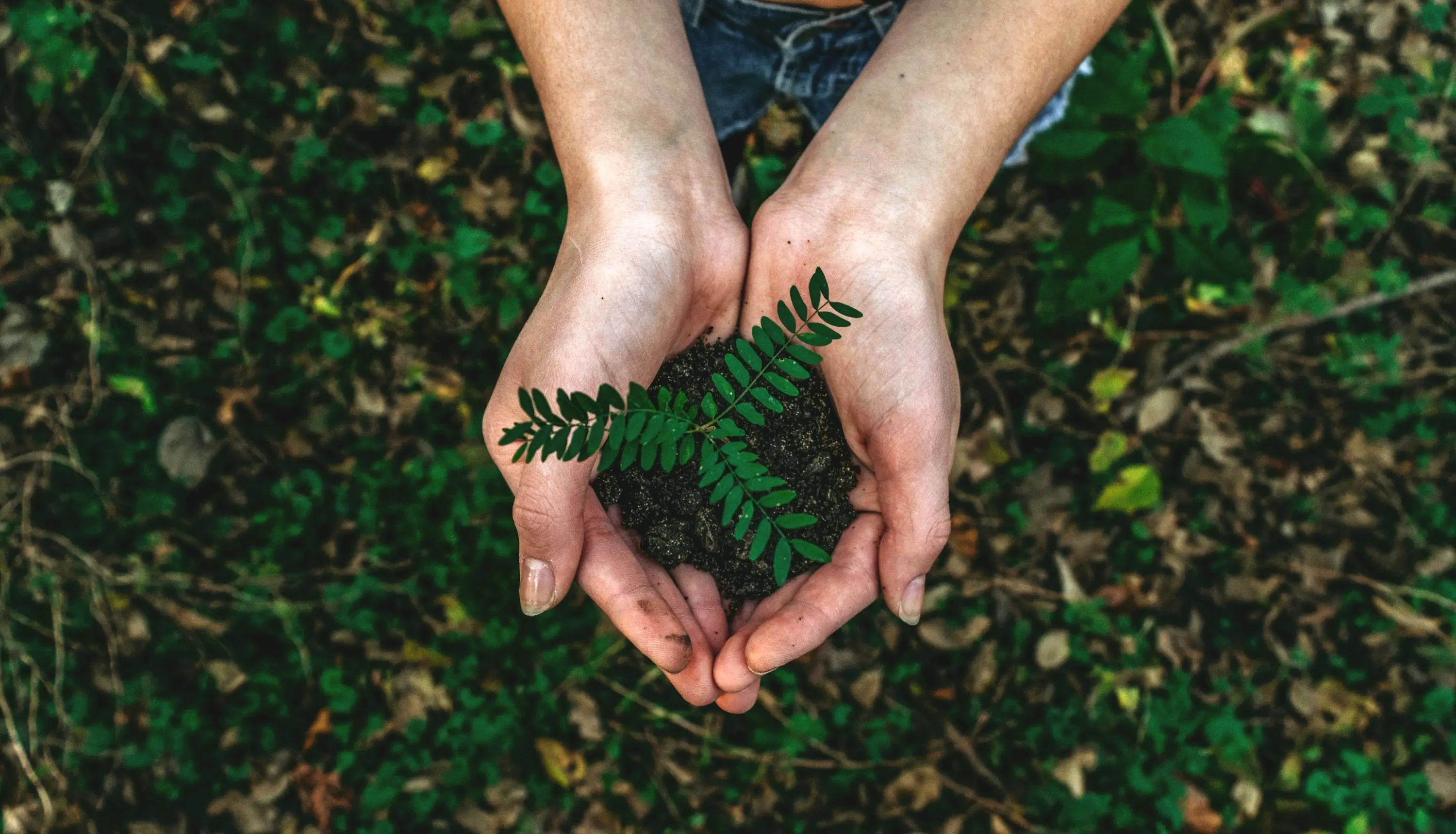 The Green Side of Handling: How Smarter Equipment Saves Energy and Reduces Waste The Green Side of Handling: How Smarter Equipment Saves Energy and Reduces Waste